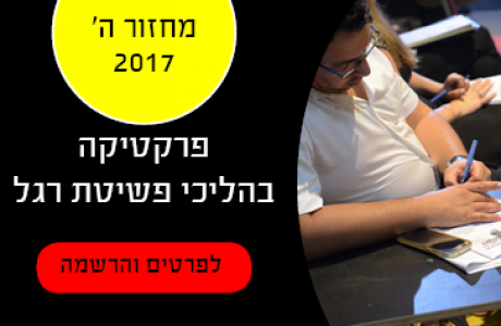 פרקטיקה בהליכי פשיטת רגל ( 2017 מחזור ה')